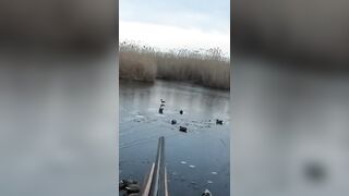 Лёд и чирок на озере: рыбалка или охота, что выберешь сегодня?