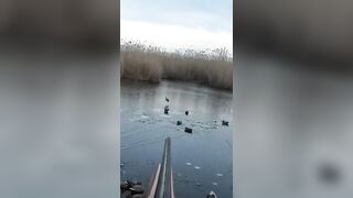 Лёд и чирок на озере: рыбалка или охота, что выберешь сегодня?