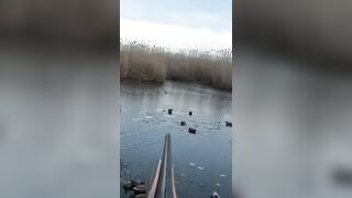 Лёд и чирок на озере: рыбалка или охота, что выберешь сегодня?