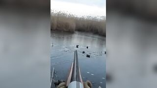 Лёд и чирок на озере: рыбалка или охота, что выберешь сегодня?