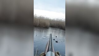 Лёд и чирок на озере: рыбалка или охота, что выберешь сегодня?