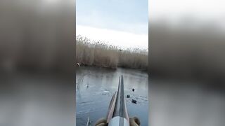 Лёд и чирок на озере: рыбалка или охота, что выберешь сегодня?