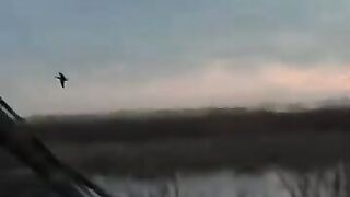 Лёд и чирок на озере: рыбалка или охота, что выберешь сегодня?