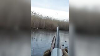 Лёд и чирок на озере: рыбалка или охота, что выберешь сегодня?