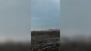 Лёд и чирок на озере: рыбалка или охота, что выберешь сегодня?