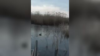 Лёд и чирок на озере: рыбалка или охота, что выберешь сегодня?