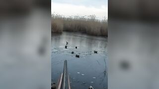 Лёд и чирок на озере: рыбалка или охота, что выберешь сегодня?