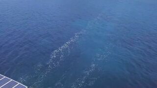 Ozge Boat Trip Icmeler 2018 и короткая рыбалка у скал по пути