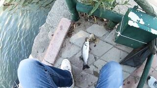 İçmeler в центре города - ночной леврек и городская рыбалка