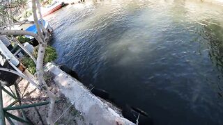 İçmeler в центре города - ночной леврек и городская рыбалка