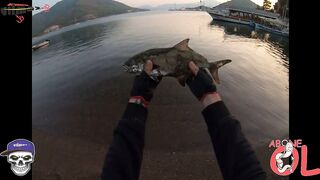 Утренняя вода в İçmeler удивила и рыбалка дала шанс на леврека