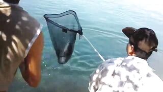 Manavgat river охота за кефалью на фунт и рыбалка у мостов в тени пальм