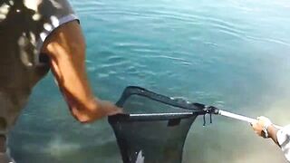 Manavgat river охота за кефалью на фунт и рыбалка у мостов в тени пальм