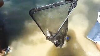 Manavgat river охота за кефалью на фунт и рыбалка у мостов в тени пальм