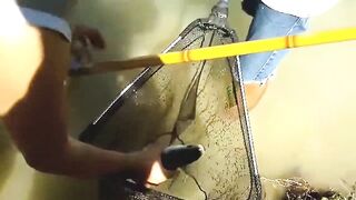 Manavgat river охота за кефалью на фунт и рыбалка у мостов в тени пальм