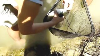 Manavgat river охота за кефалью на фунт и рыбалка у мостов в тени пальм