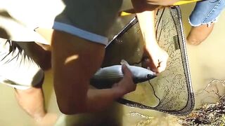 Manavgat river охота за кефалью на фунт и рыбалка у мостов в тени пальм