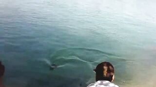 Manavgat river охота за кефалью на фунт и рыбалка у мостов в тени пальм