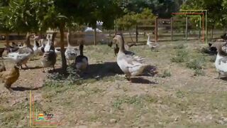 Alara River прогулка по спа комплексам а есть ли рыбалка по течению