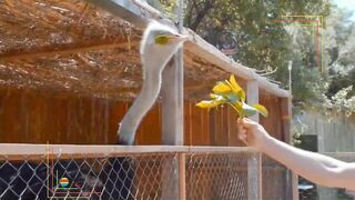 Alara River прогулка по спа комплексам а есть ли рыбалка по течению