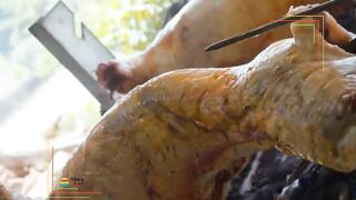 Alara River прогулка по спа комплексам а есть ли рыбалка по течению