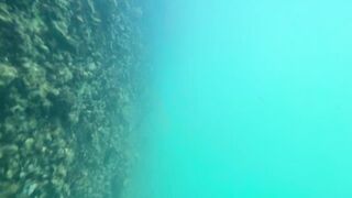 Утренняя рыбалка в Новом Афоне лёгкий микроджиг на чистой воде