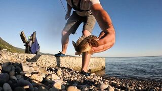 Вечёрка в Новом Афоне рокфишинг на микроджиг у волнорезов