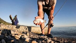 Вечёрка в Новом Афоне рокфишинг на микроджиг у волнорезов