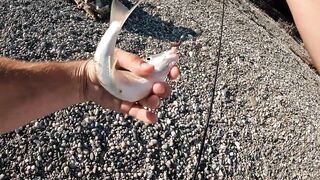 Вечёрка в Новом Афоне рокфишинг на микроджиг у волнорезов