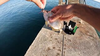 Вечёрка в Новом Афоне рокфишинг на микроджиг у волнорезов