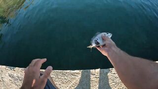 Вечёрка в Новом Афоне рокфишинг на микроджиг у волнорезов