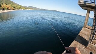 Вечёрка в Новом Афоне рокфишинг на микроджиг у волнорезов