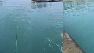 Ставридка с пирса и вечерние огни Нового Афона