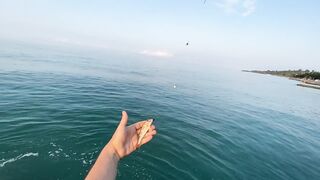 Новый Афон с пирса и донка на дальний заброс вечером