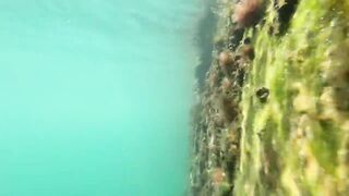 Новый Афон жара и пирс дневная рыбалка в тени навеса