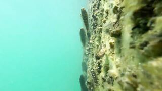 Новый Афон жара и пирс дневная рыбалка в тени навеса