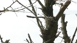 Толстый Мыс, Геленджик - морская рыбалка на скалах и у бровки