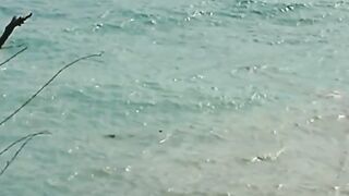 Толстый Мыс, Геленджик - морская рыбалка на скалах и у бровки