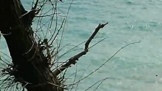 Толстый Мыс, Геленджик - морская рыбалка на скалах и у бровки