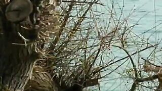 Толстый Мыс, Геленджик - морская рыбалка на скалах и у бровки