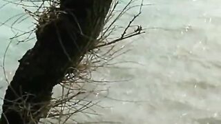 Толстый Мыс, Геленджик - морская рыбалка на скалах и у бровки