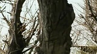 Толстый Мыс, Геленджик - морская рыбалка на скалах и у бровки