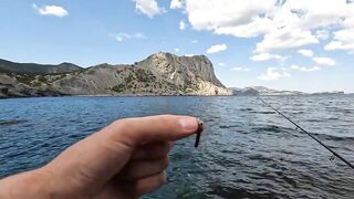 Новый Свет днём и ночью: морская рыбалка на скалах и в бухте