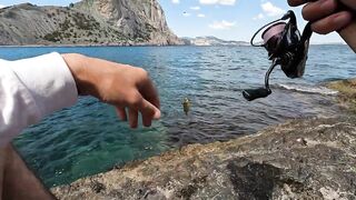 Новый Свет днём и ночью: морская рыбалка на скалах и в бухте