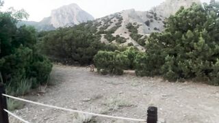 Новый Свет днём и ночью: морская рыбалка на скалах и в бухте