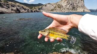 Новый Свет днём и ночью: морская рыбалка на скалах и в бухте