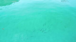 Новый Свет и пещера Фиделя морская рыбалка у скал в штиль