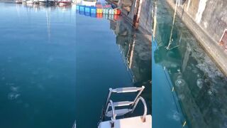 Медузы захватили марину: морская рыбалка в Сочи будет или нет?