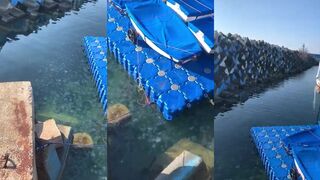 Медузы в Имеретинской марине, что с клевом и стоит ли выходить