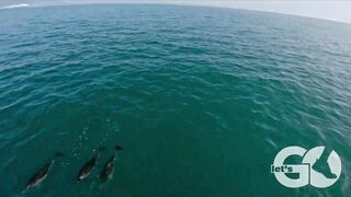 Имеретинка без лишних слов: морская рыбалка на пирсе сегодня